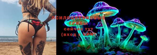 прущие крисы Нефтекумск