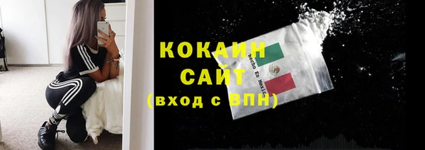 дурь Анива