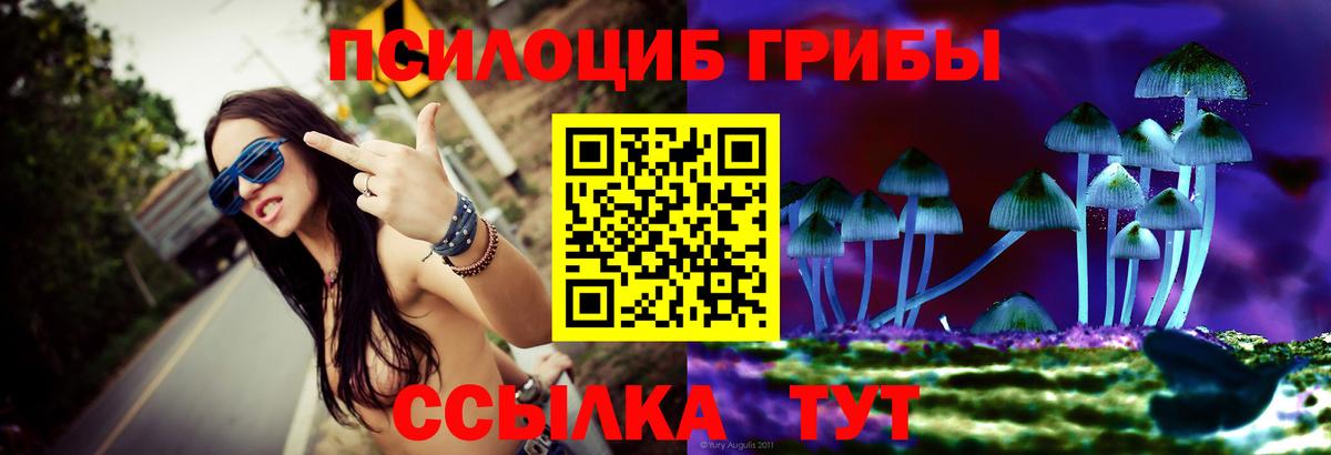 Галлюциногенные грибы мицелий  Галлюциногенные грибы ЛСД  Балашов  Вход с VPN 